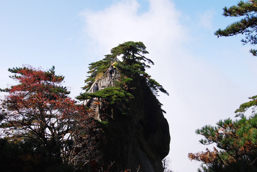 秋天的天柱山：红枫夹道，石阶蜿蜒上峰