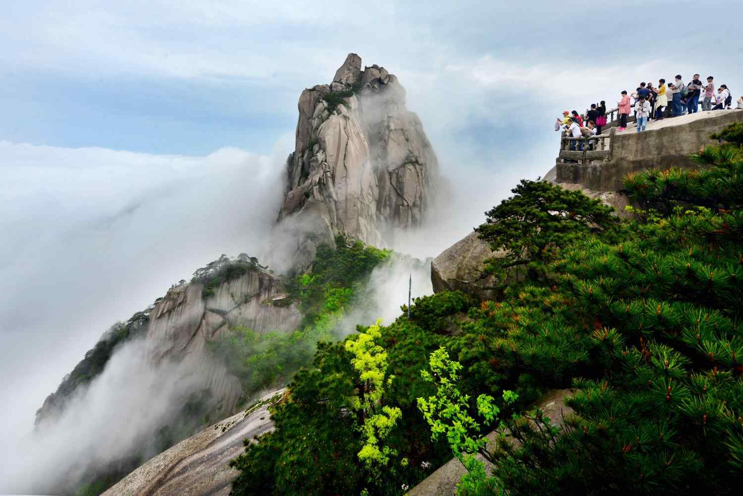 春天的天柱山：云雾漫过峰腰，松林新绿
